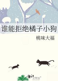 谁能拒绝橘子小狗